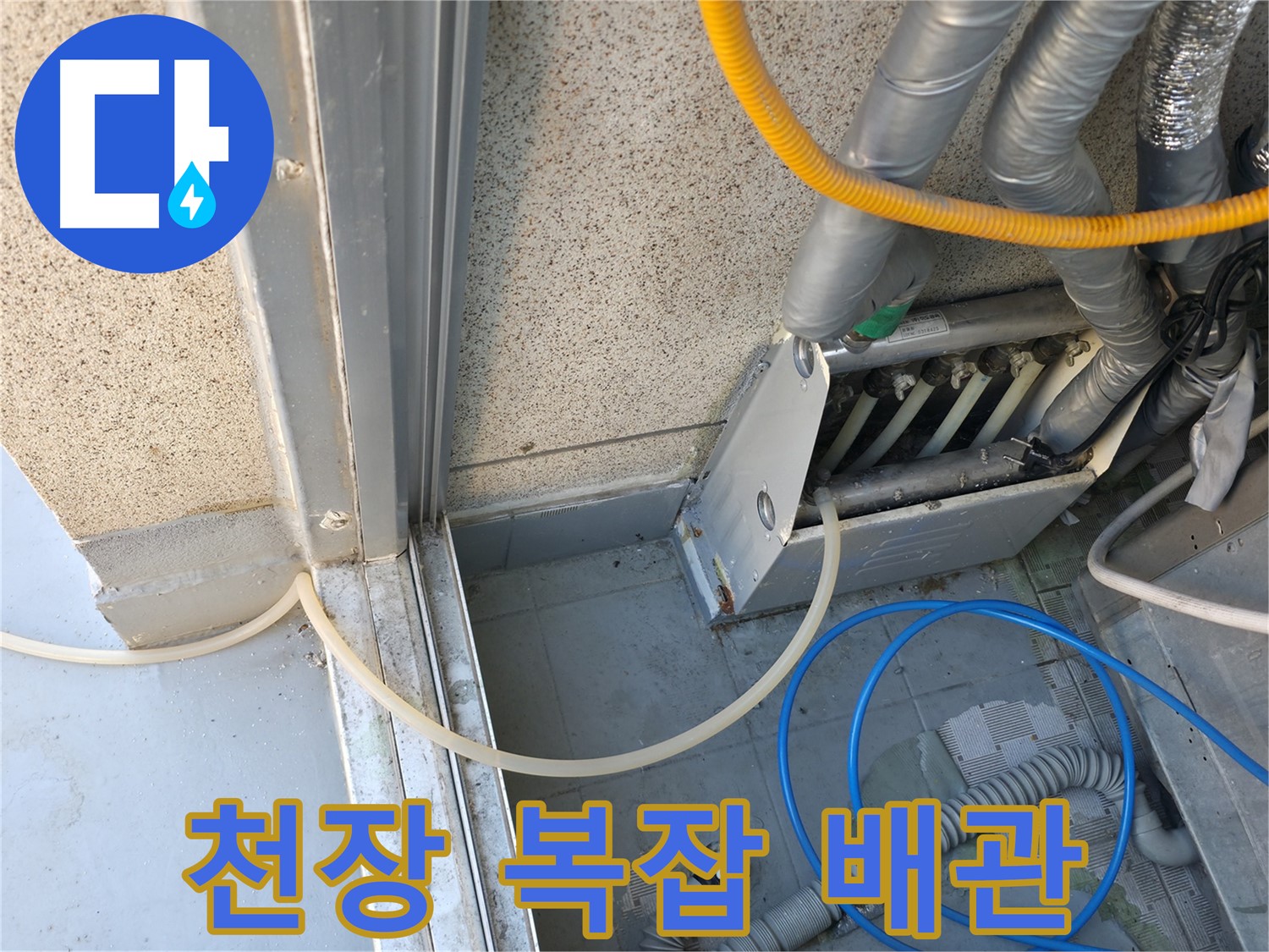금천구 독산동 - 복잡한 천장 배관 속에서 정확한 누수 위치를 찾고 있습니다.