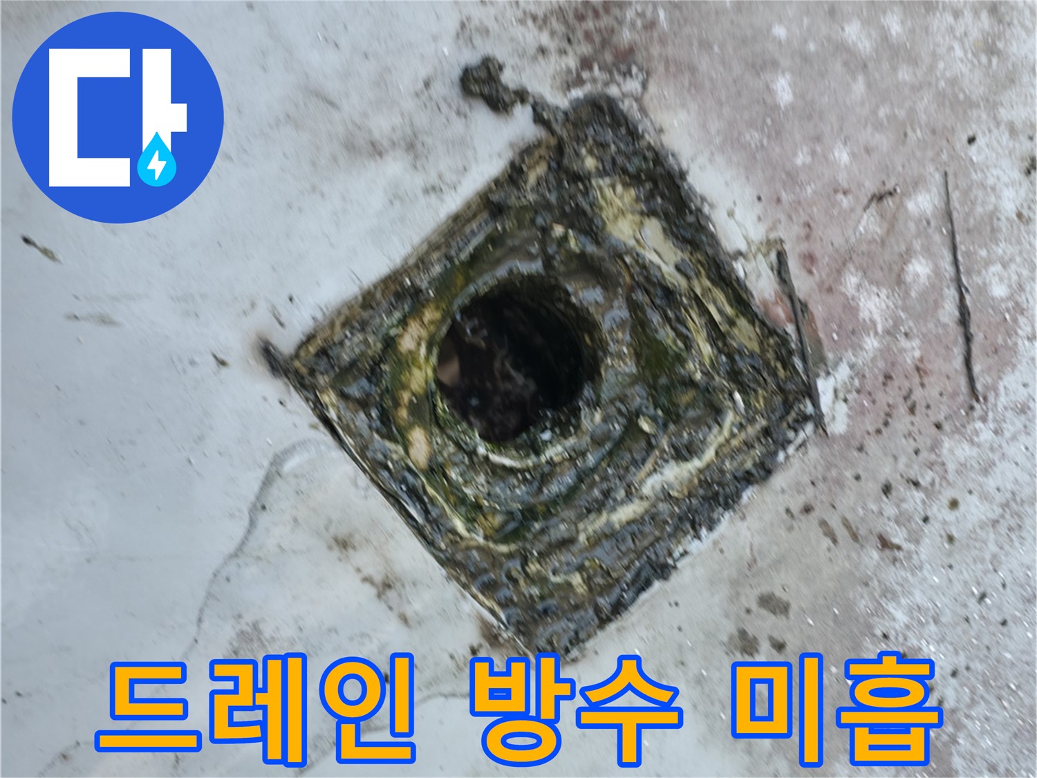 금천구 옥상 드레인 주변 방수 시공 미흡 - 꼼꼼한 재시공으로 해결