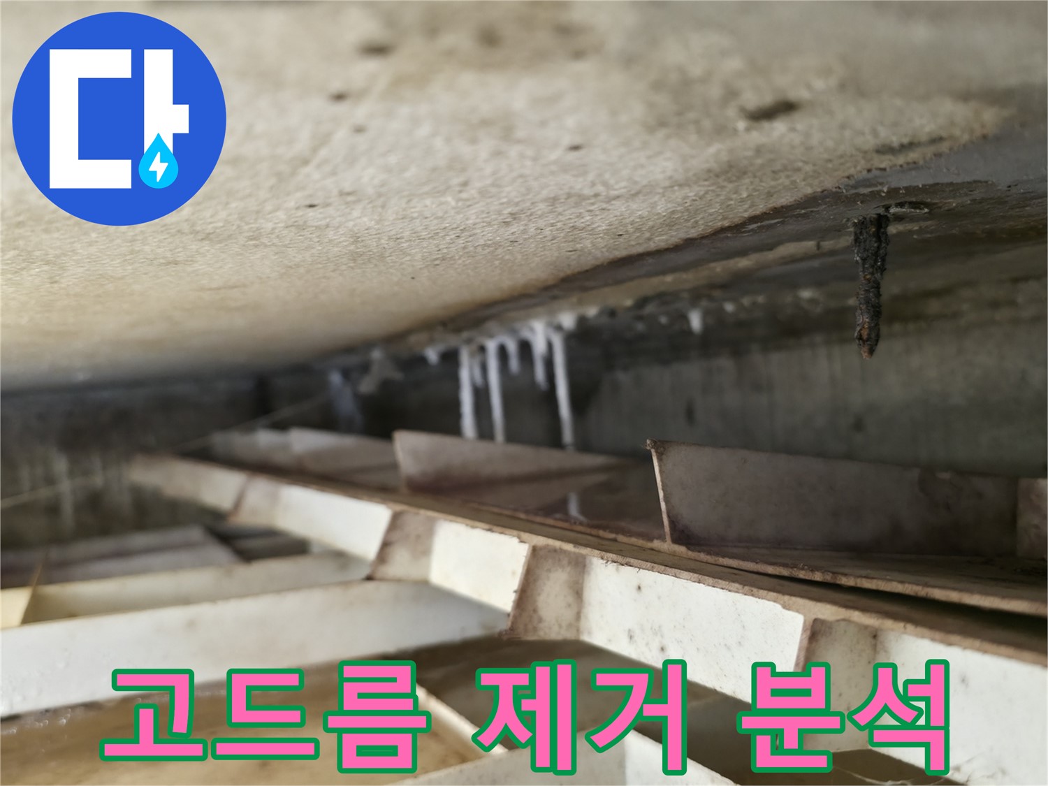 독산동 현진아트빌 슬라브 누수 - 석회수 고드름 제거 후 누수 원인을 집중적으로 분석하여 근본적인 해결책을 찾습니다.