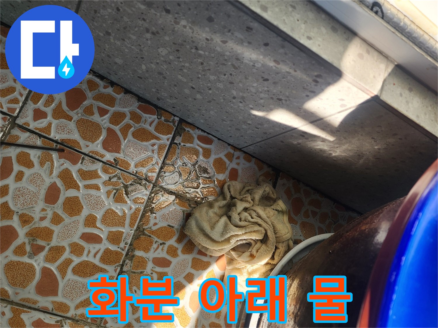 화분 아래 물 발생 - 경기 광주 삼동 누수탐지 전문 업체에서 빠른 누수 진단을 진행하고 있습니다.