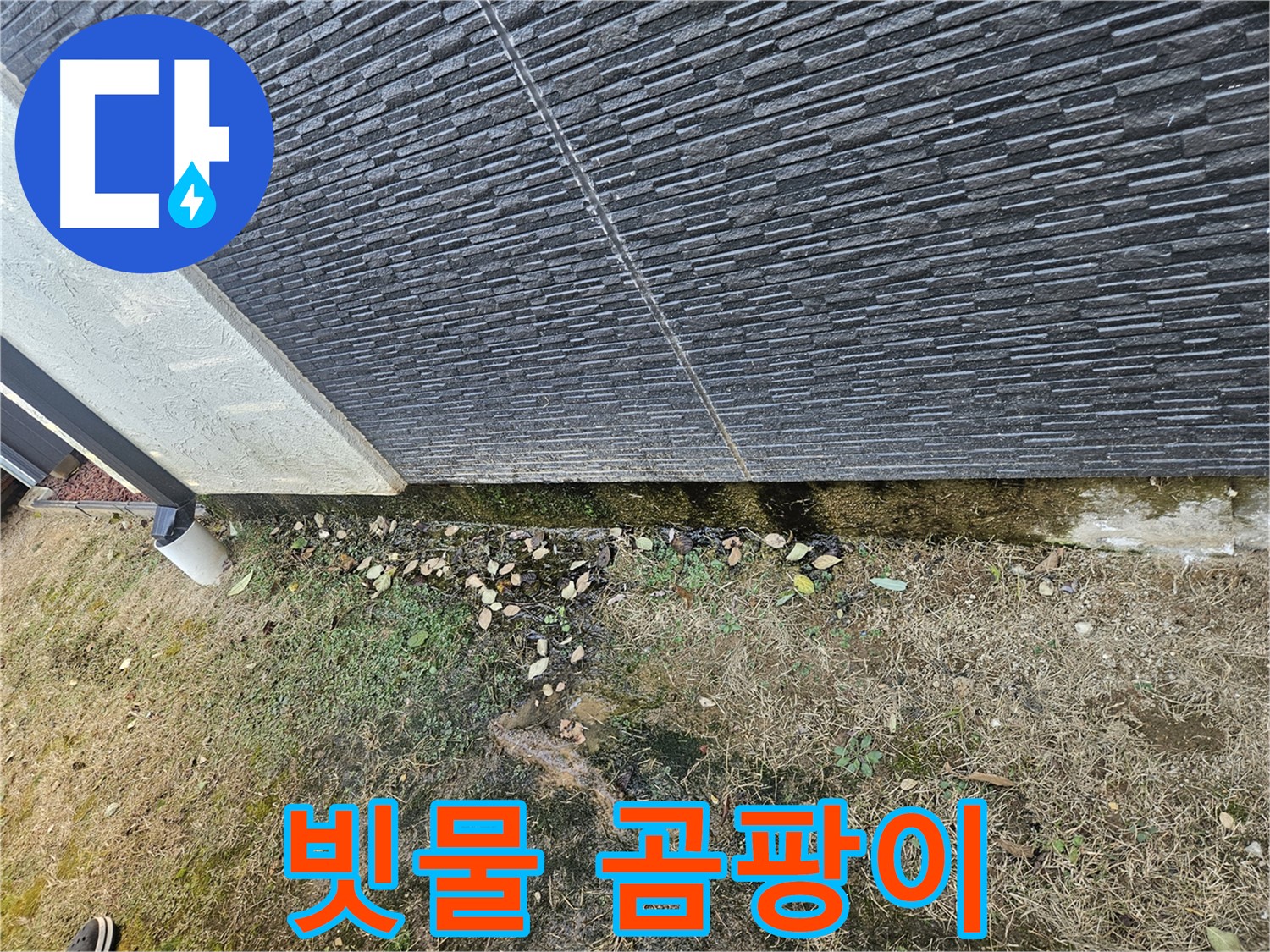 이천 마장 외벽 누수 가능성 - 빗물 자국과 곰팡이 - 정밀 점검 필요