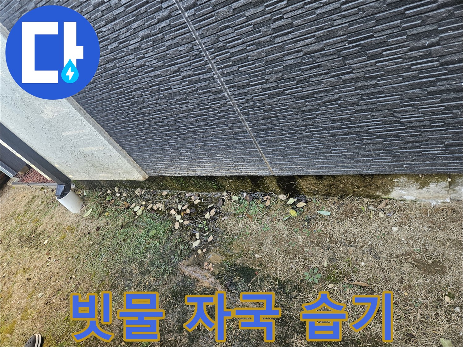 이천 아리번지 외벽 누수 가능성 - 빗물 자국과 습기 - 꼼꼼한 점검 필요