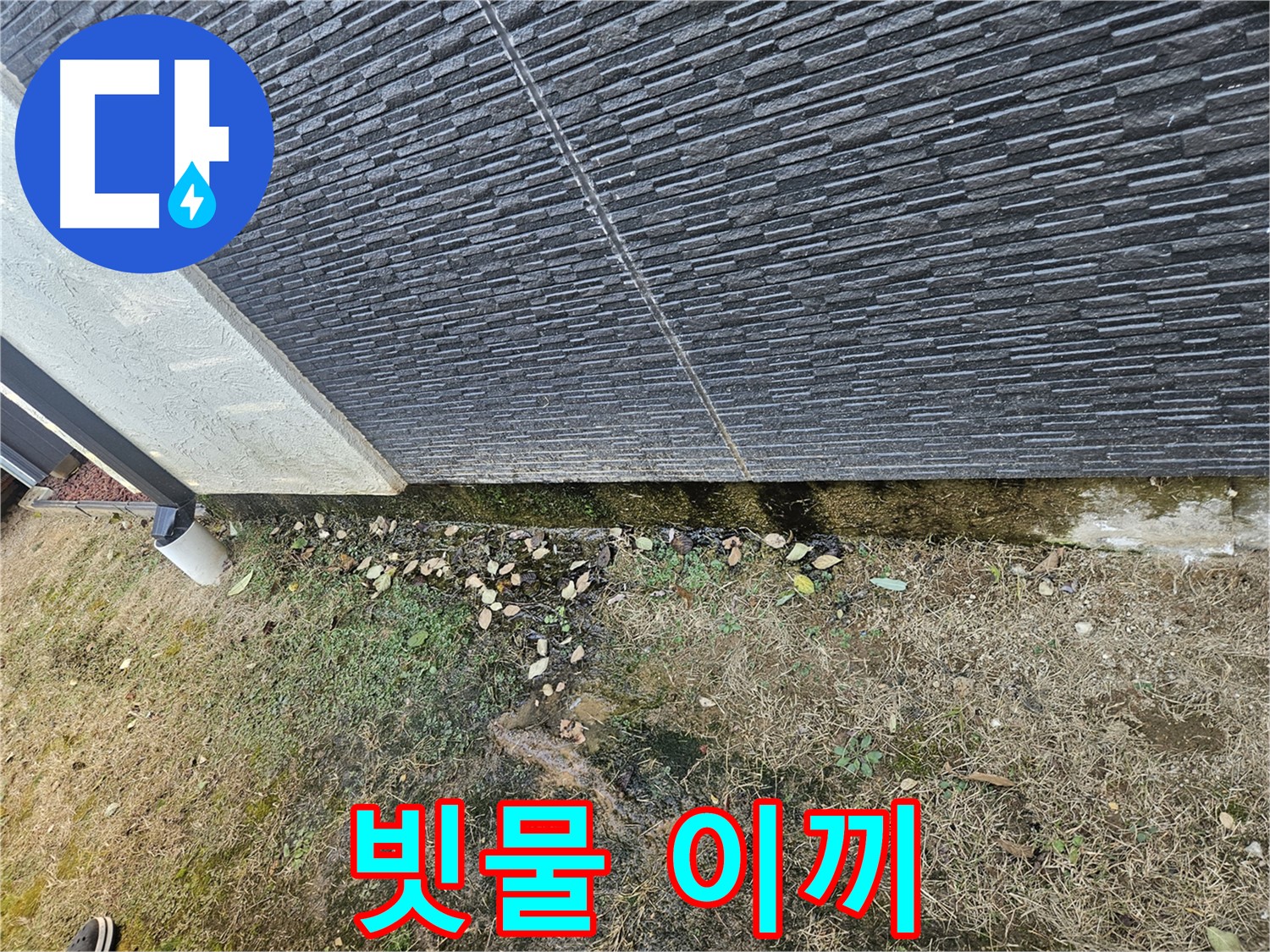 이천시 마장면 아리역로 주변 외벽 누수 의심 - 빗물 고임과 이끼 - 벽면 손상 우려