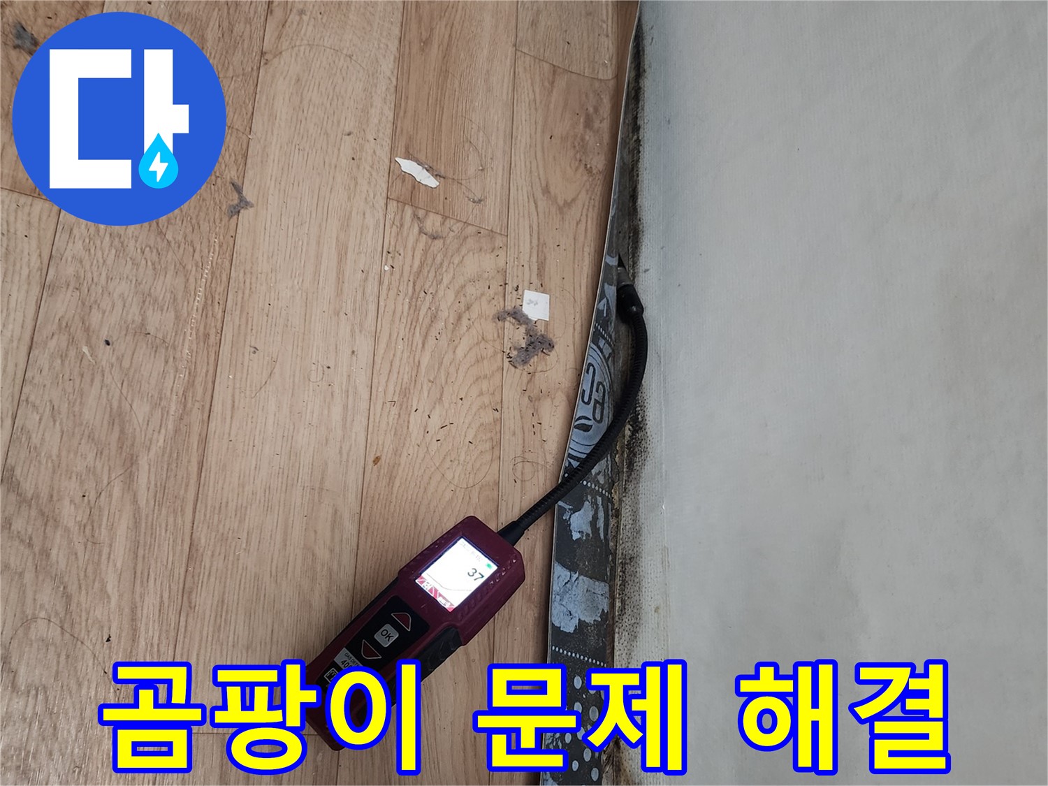 수원 누수탐지 전문가 - 곰팡이, 누수 문제 해결