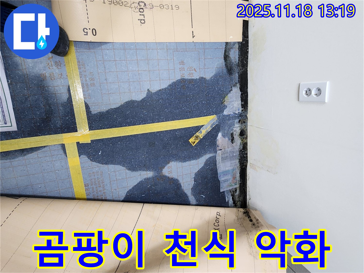 진목리 누수, 장판 밑 물과 곰팡이가 곰팡이 알레르기와 천식을 악화시키는 심각한 상황! - 건강에 치명적입니다.