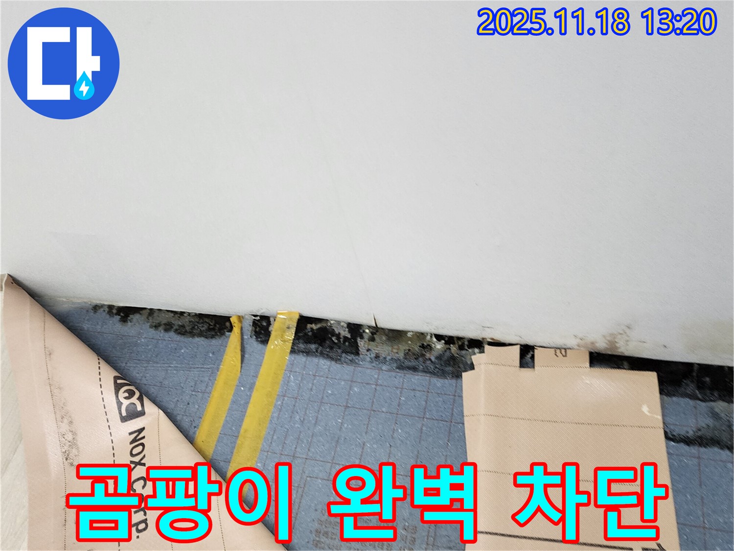 포천 내촌 누수 - 장판 밑 곰팡이 완벽 차단, 쾌적한 환경 조성