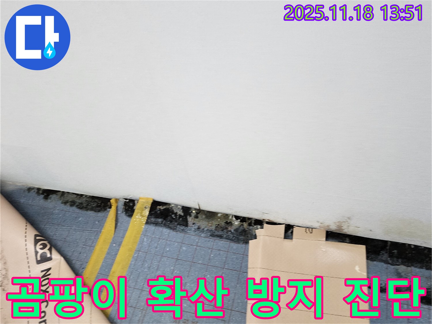포천시 내촌면 누수 현장 - 곰팡이 확산을 막기 위해 신속하게 진단하고, 맞춤 솔루션을 제공합니다.