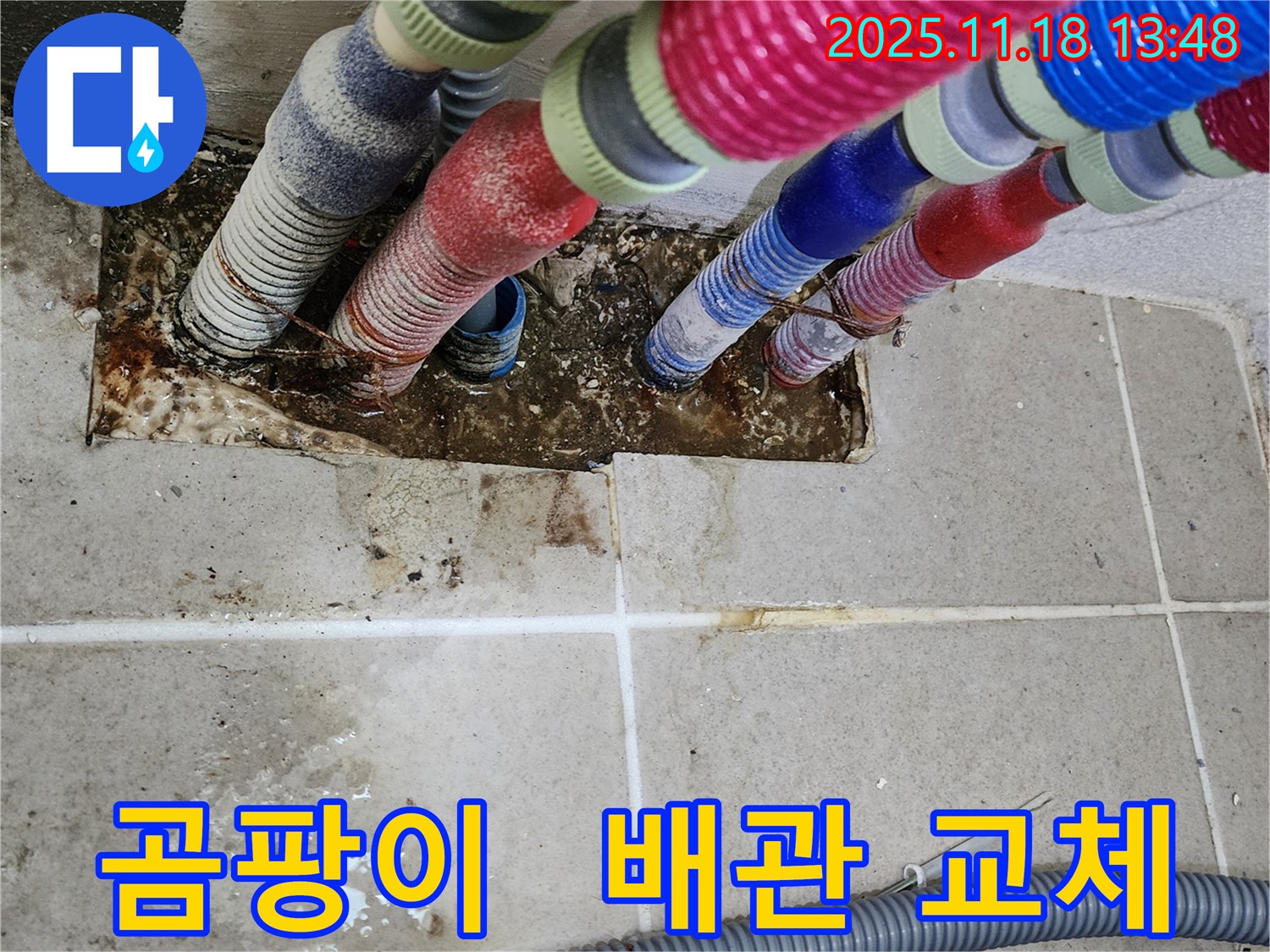 포천시 내촌면 진목리 누수 - 곰팡이 핀 벽, 배관 교체로 곰팡이와 작별!