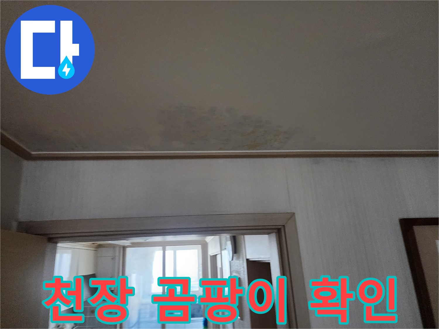 광명 철산동 두산위브 아파트 천장 곰팡이 - 누수 전문가가 천장 곰팡이 발생 여부를 확인합니다.