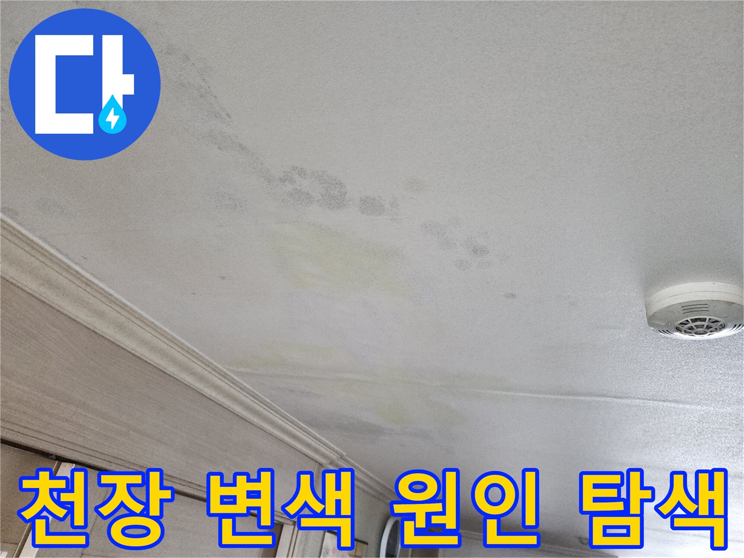 광명시 철산동 아파트 천장 변색 - 누수 원인을 찾기 위한 노력