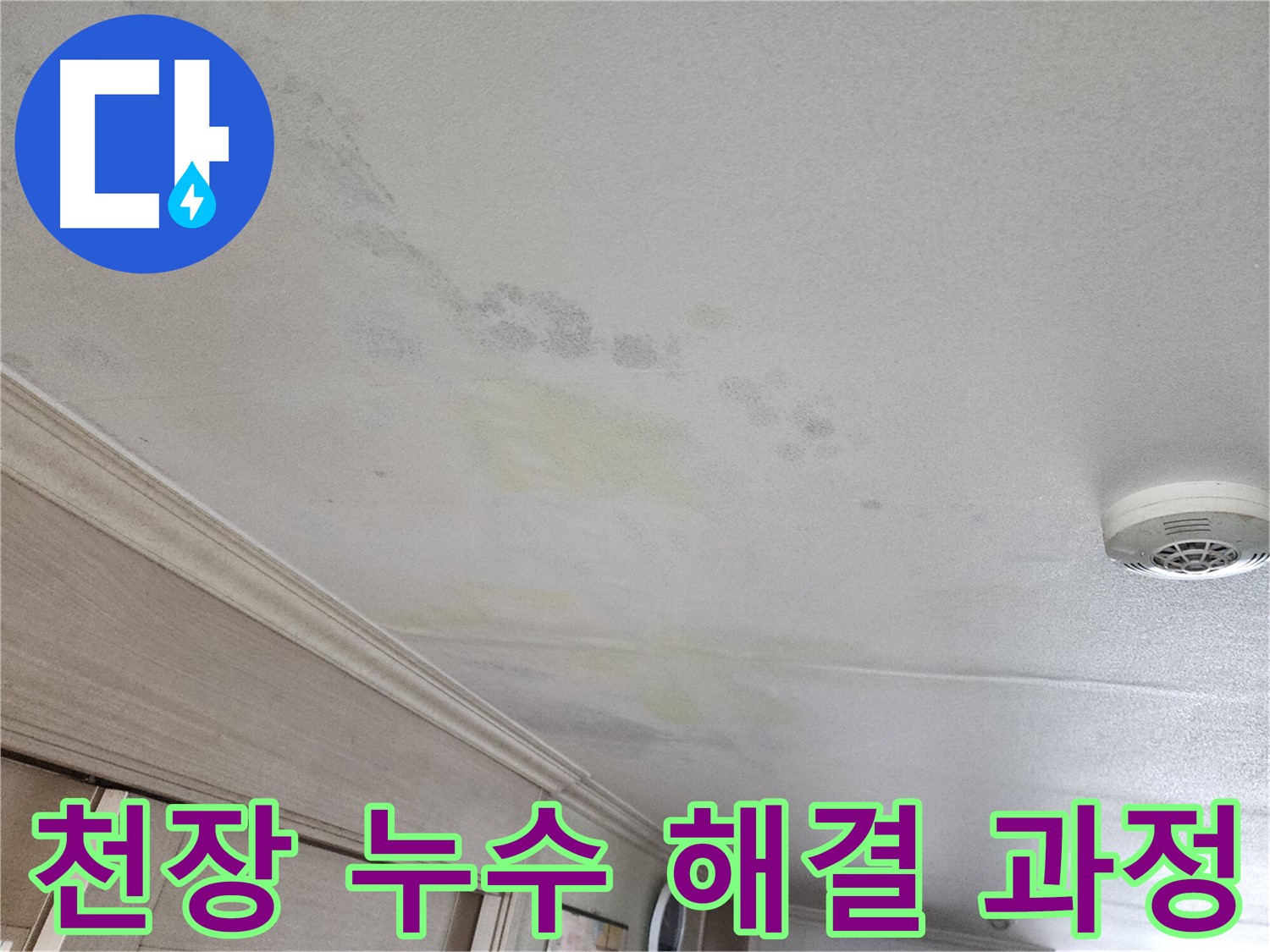 두산위브 아파트 천장 누수 문제 - 누수 해결을 위한 꼼꼼한 과정