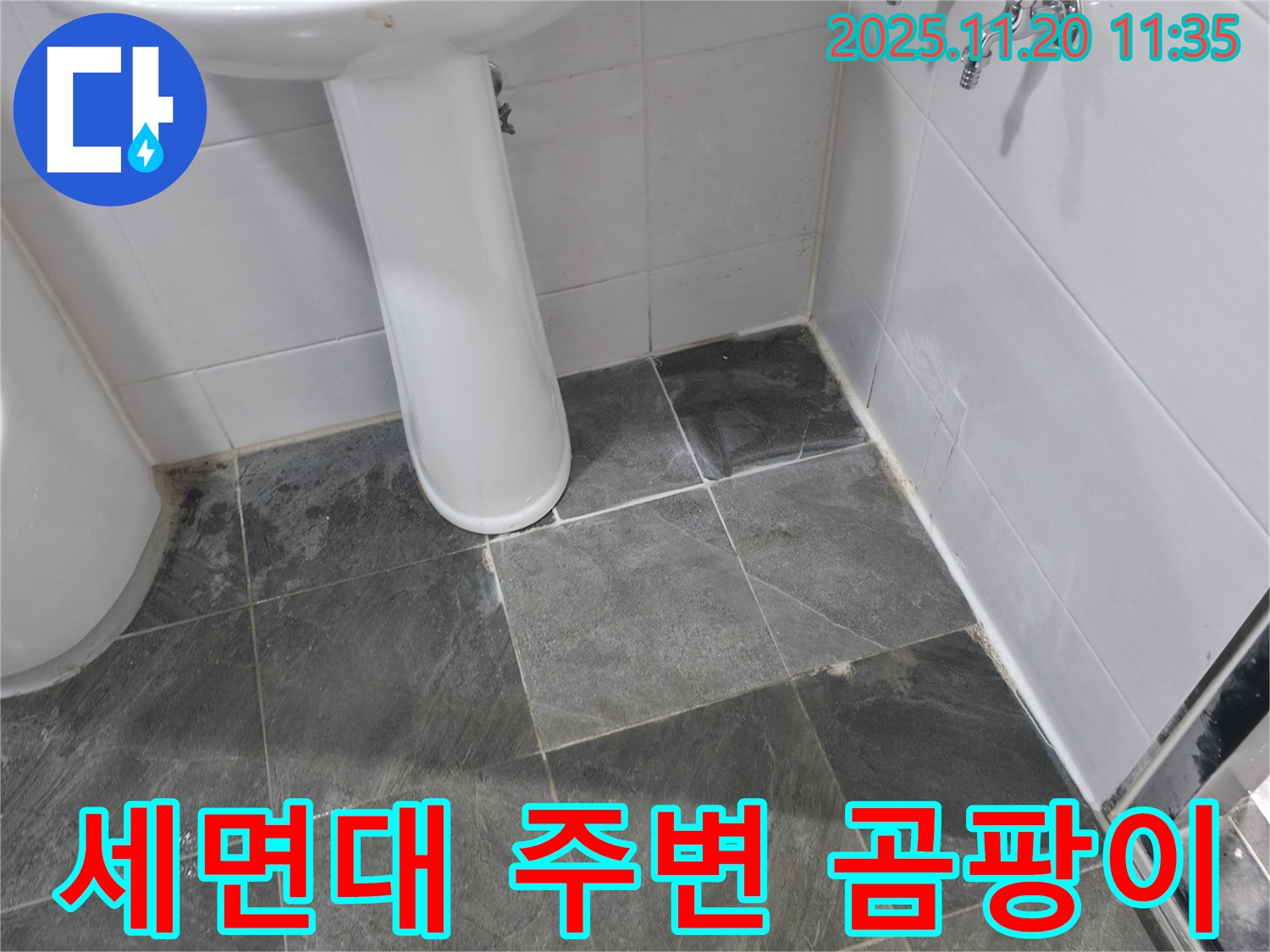 양주시 은현면 세면대 주변 곰팡이 - 숨겨진 누수 의심