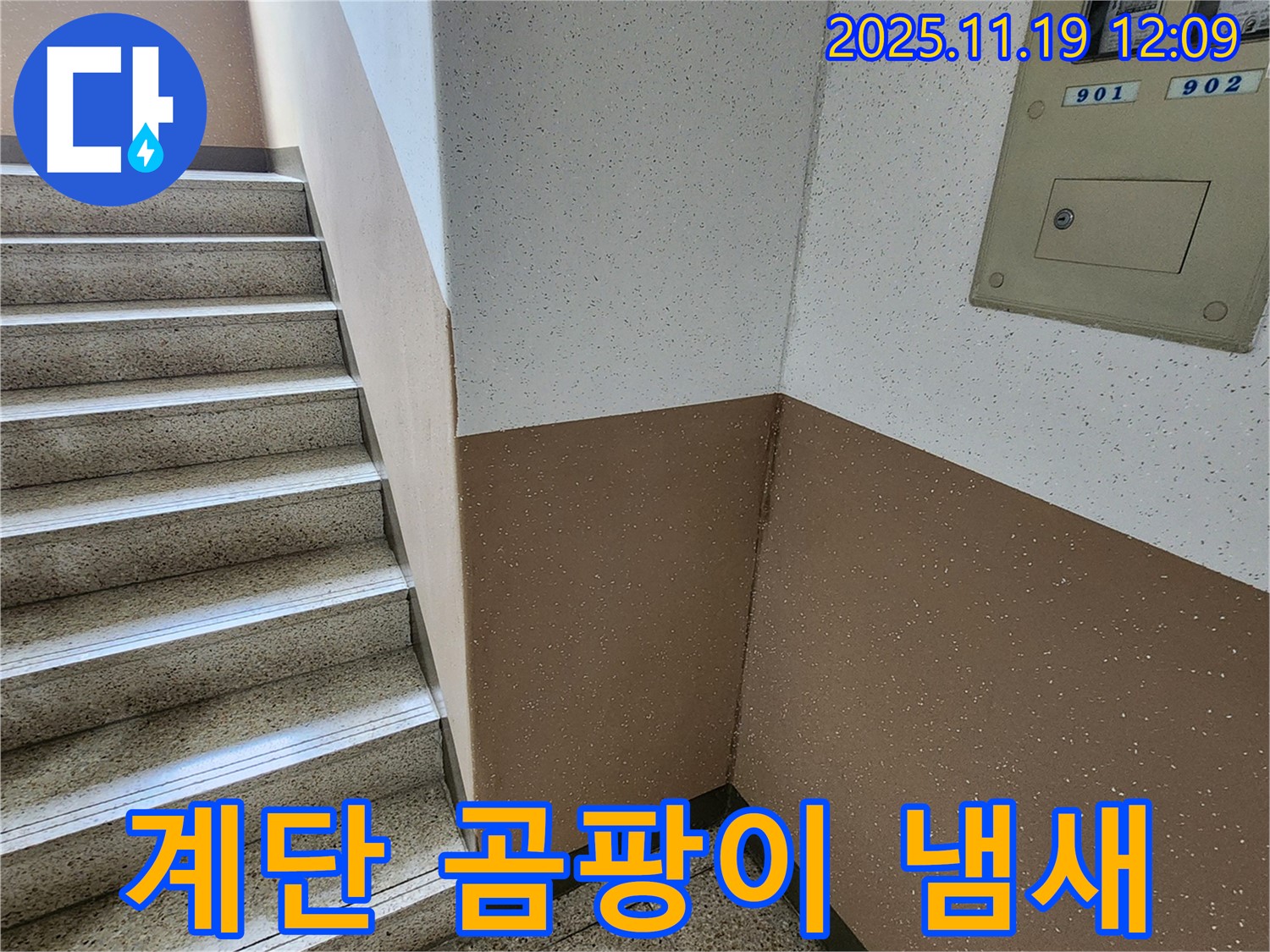 포천 아파트 누수 - 내촌면 마명리 계단 벽 곰팡이 냄새, 긴급 누수 진단 실시