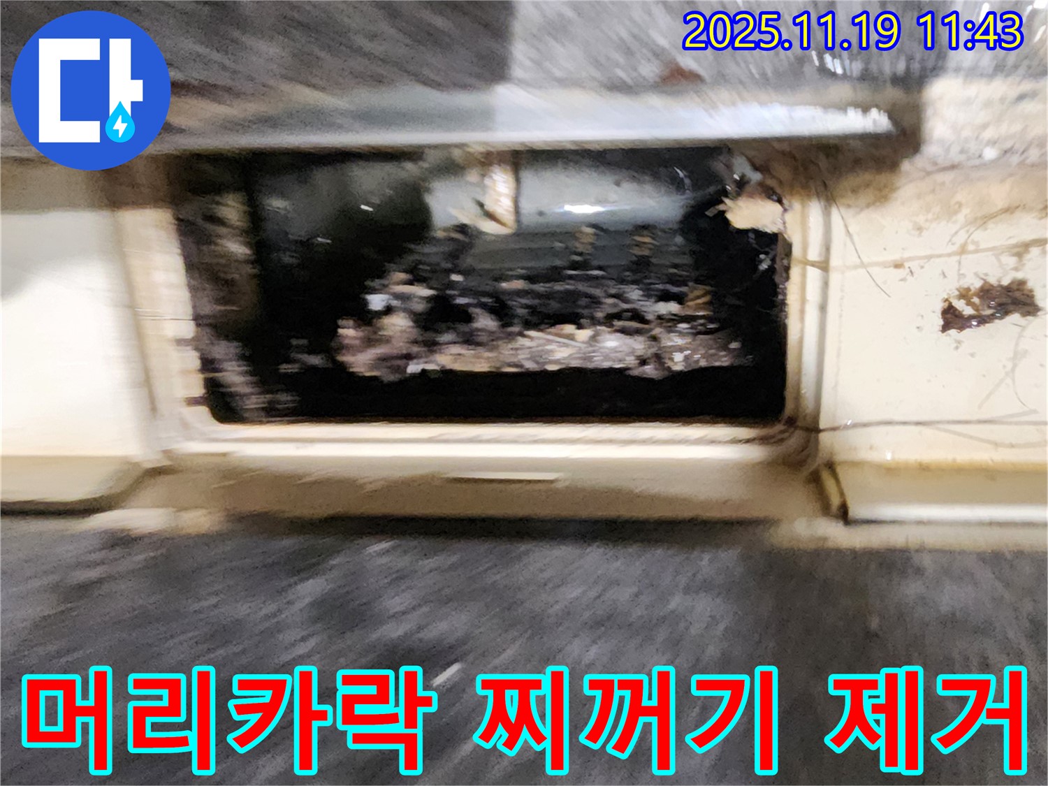 포천시 내촌면 마명리 누수 현장 - 욕실 배수구 막힘, 머리카락과 찌꺼기를 제거하는 모습입니다.