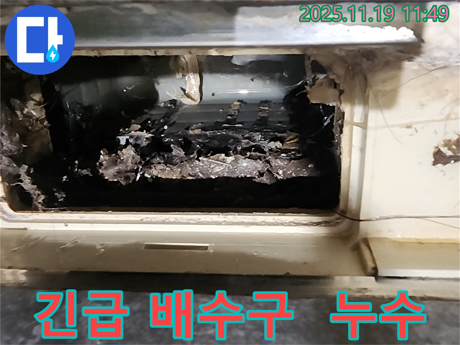 포천시 마명리에서 긴급하게 발생한 배수구 막힘으로 인한 누수 문제를 신속하게 해결하는 모습