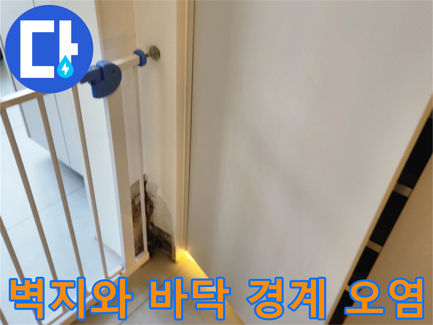 내촌면 현장-배관 누수로 인한 벽체 하단 곰팡이 증상