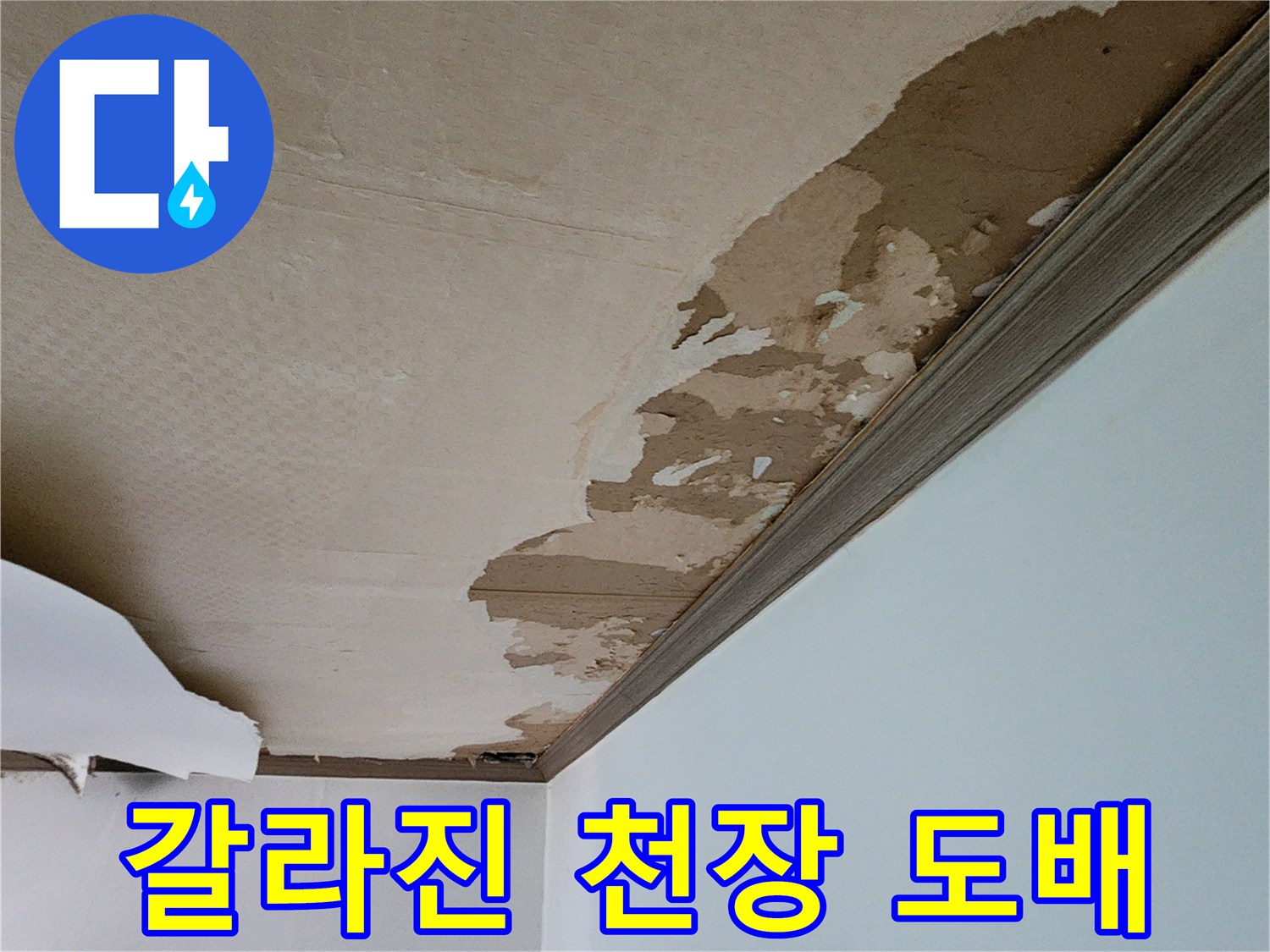 물샘으로 인해 갈라지고 벗겨진 천장 몰딩 주변부