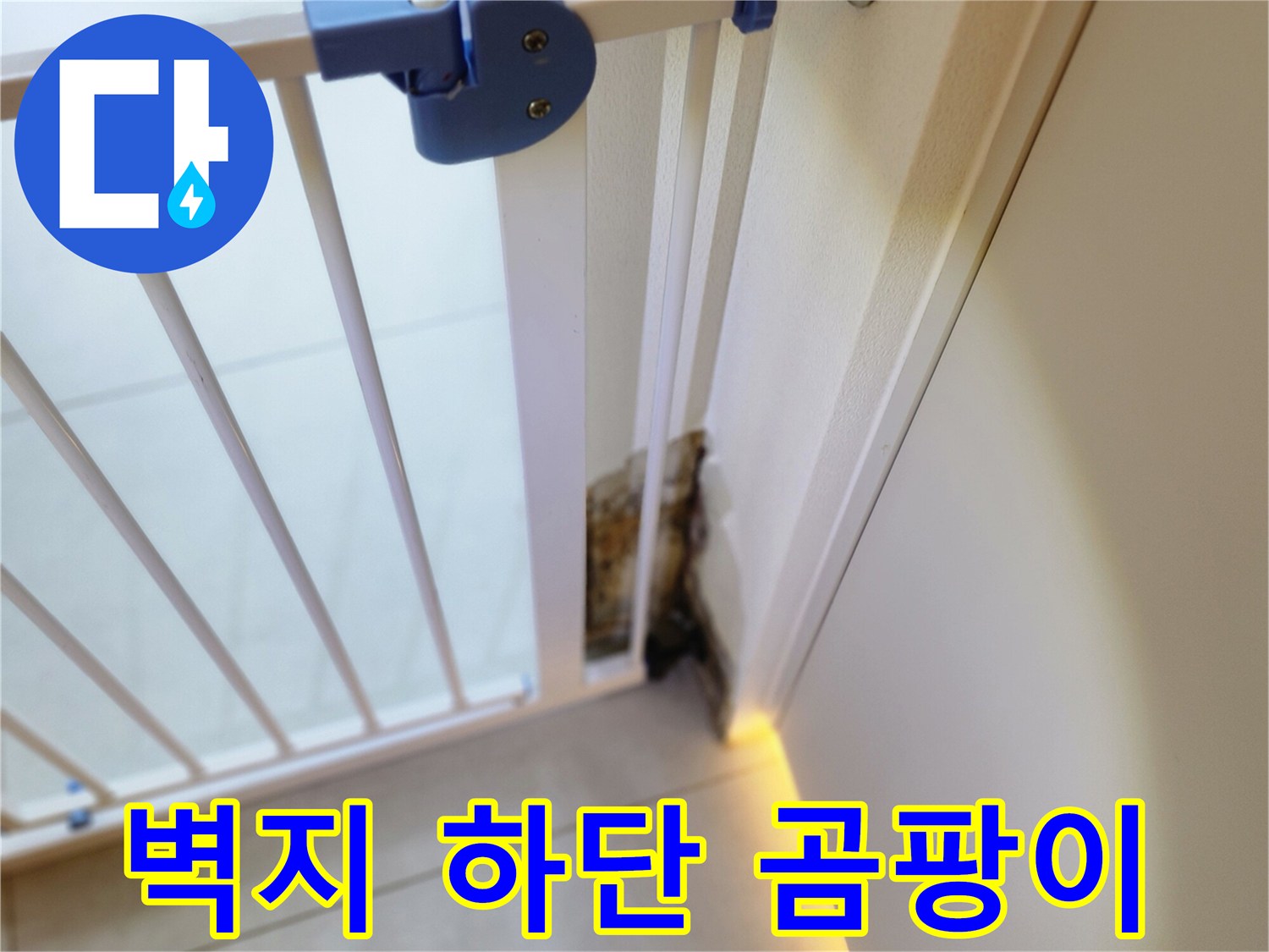 벽면 하단부 오염-물샘으로 인한 벽지 변색 및 곰팡이 발생