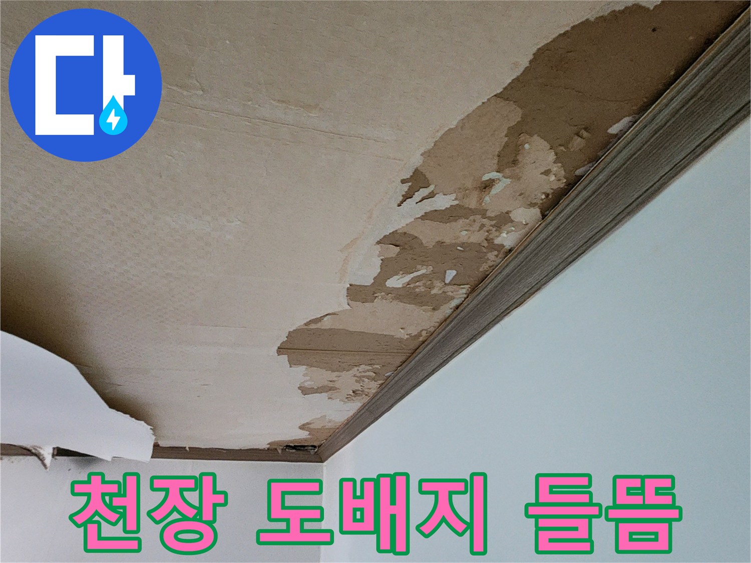 천장-도배지가-물기에-젖어-들떠있는-상태