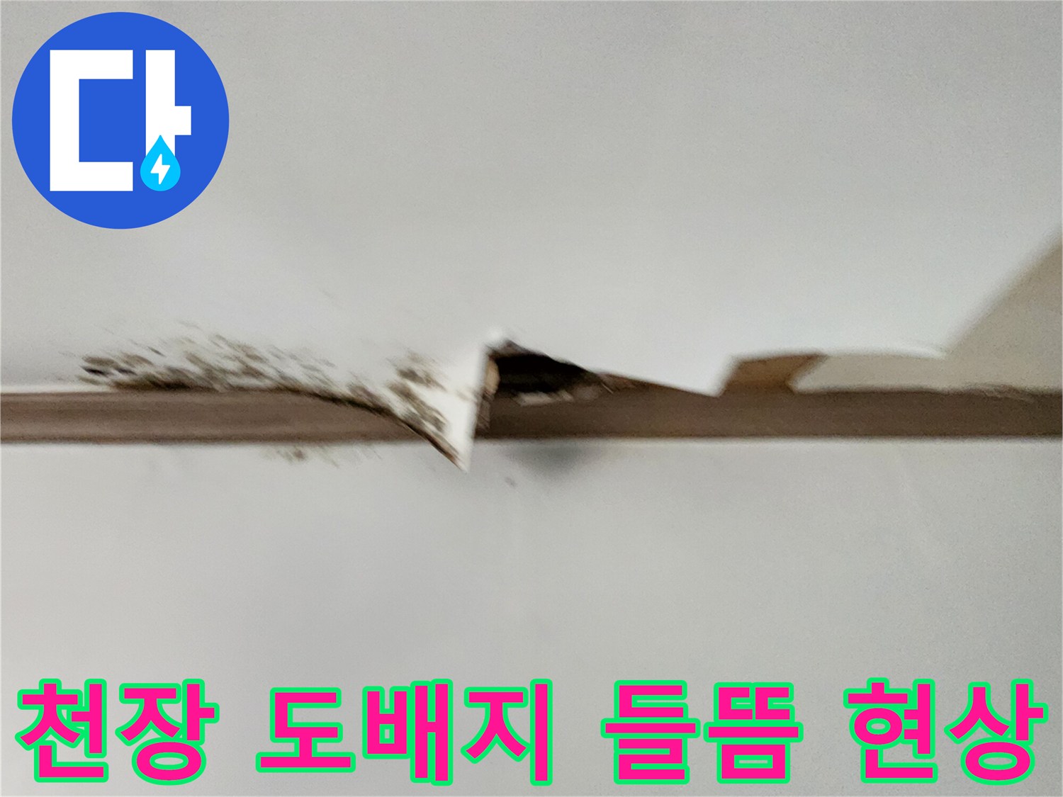 포천 내촌면 현장의 천장 도배지가 젖어서 들뜨고 찢어진 모습입니다.