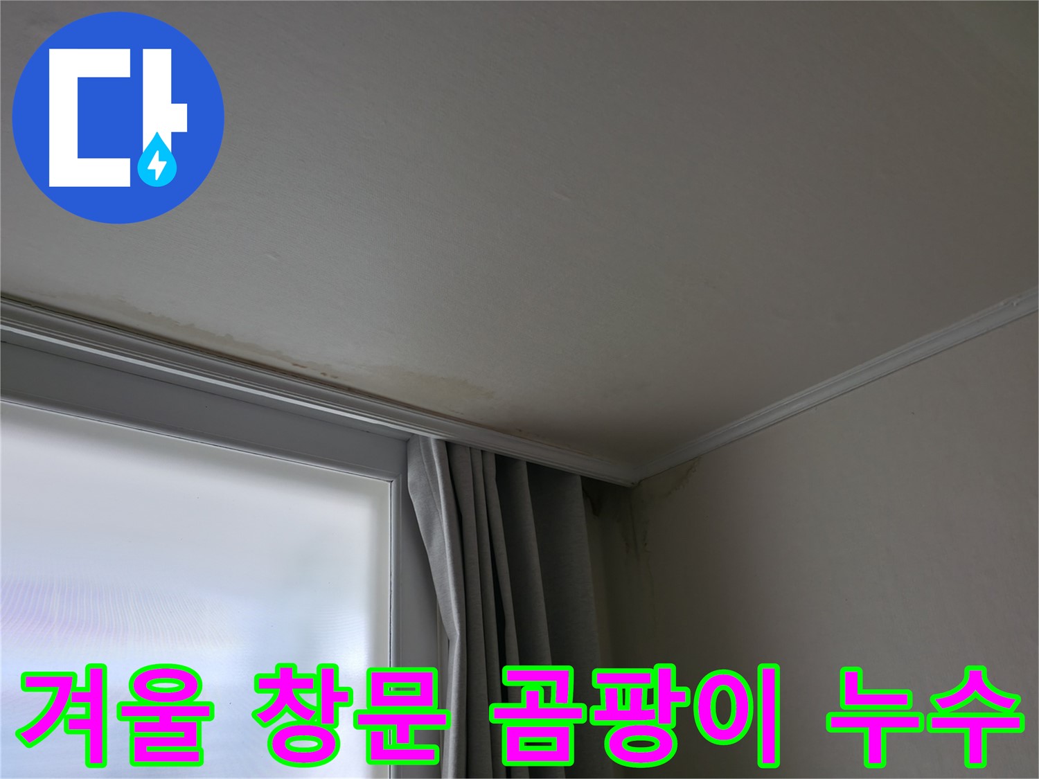 겨울철 창문 곰팡이 - 누수 해결 전문 업체