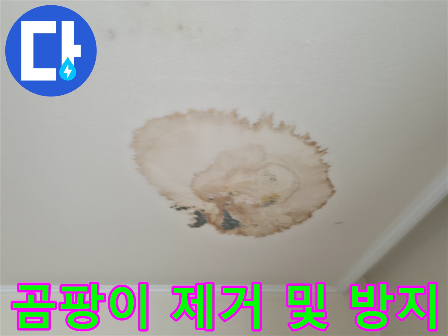 곰팡이 제거 - 곰팡이 방지 - 서대문구 북가좌동 천장 누수