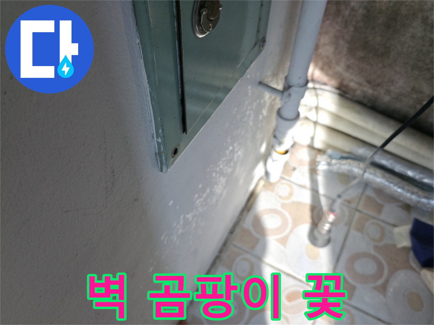 벽에 곰팡이 꽃이 피었나요? - 서대문구 세검정 곰팡이 제거 전문 업체입니다.