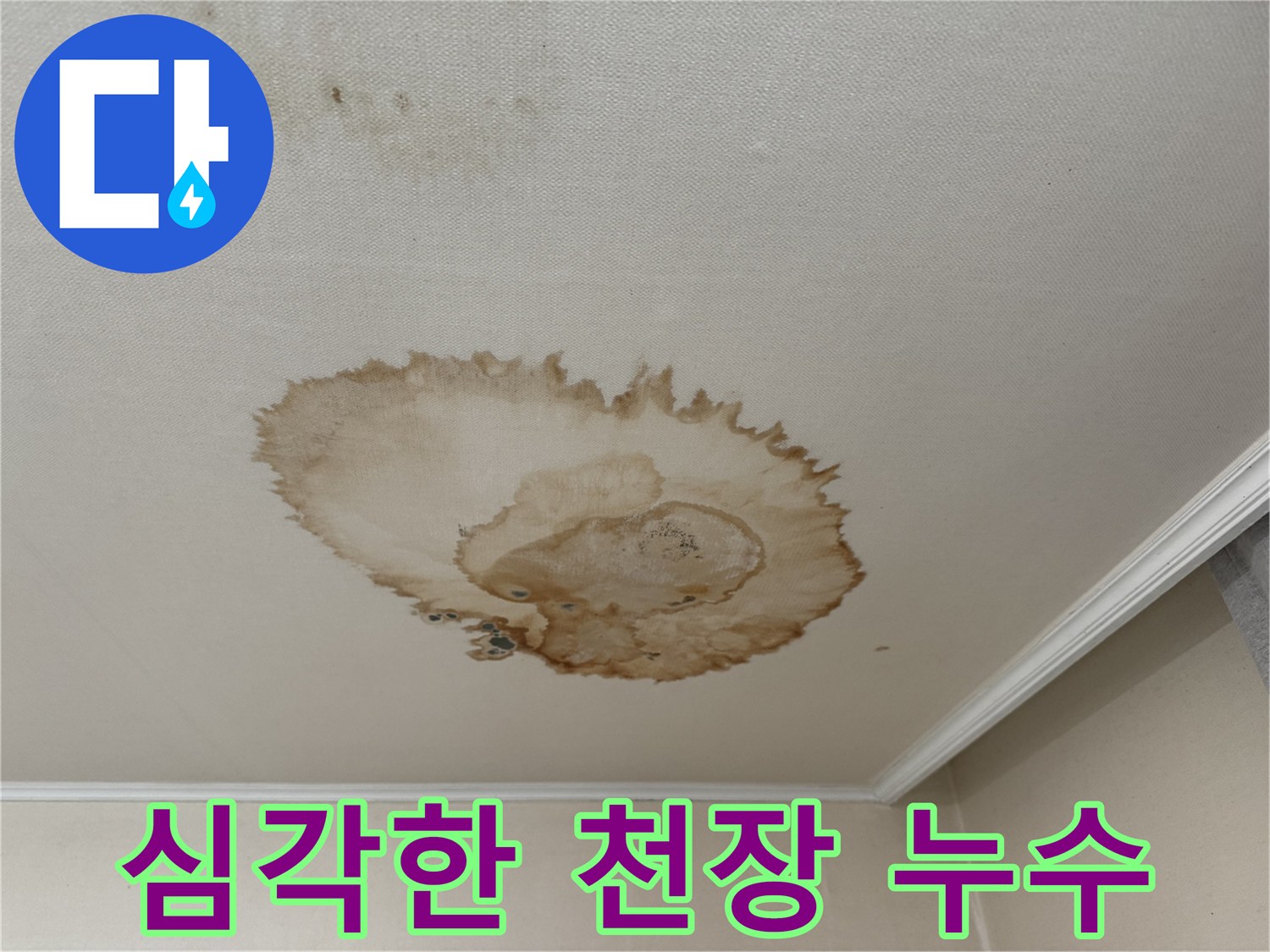 서대문구에서 발생한 심각한 천장 누수 - 천장에서 물이 떨어지는 모습과 젖어있는 바닥을 보여주는 사진
