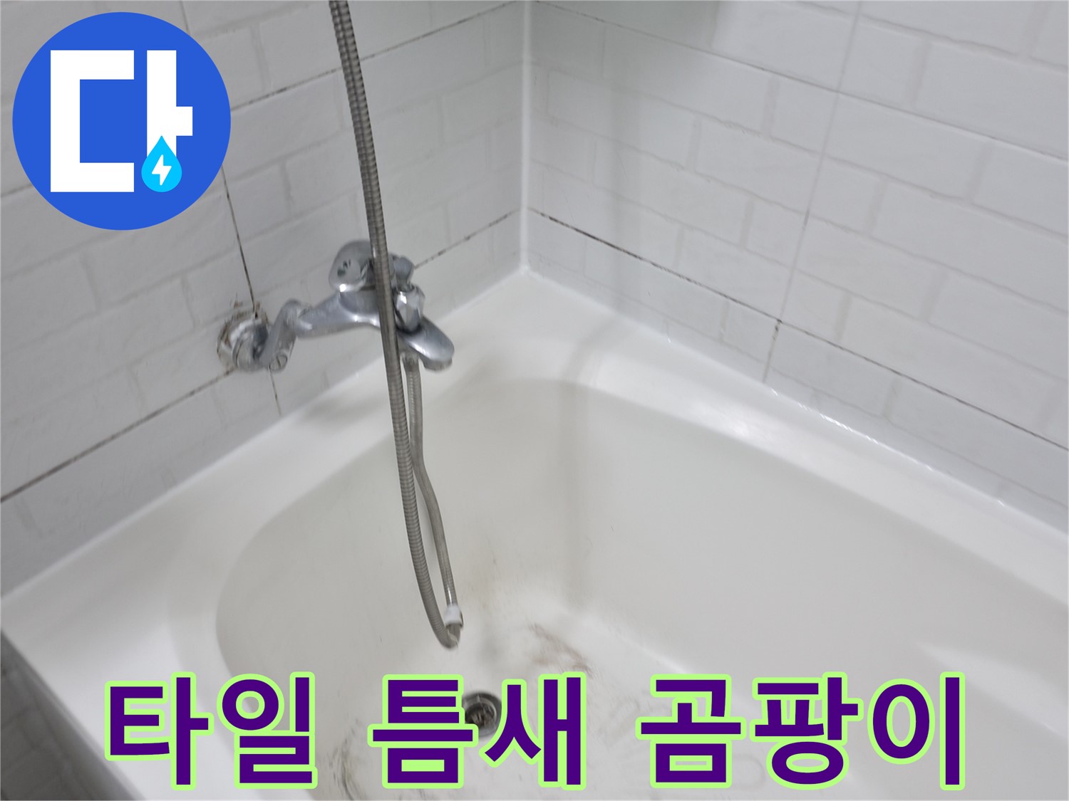 심각한 타일 틈새 곰팡이 - 곰팡이 제거가 시급한 상황