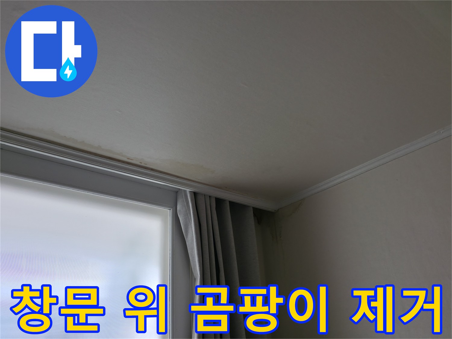창문 위 곰팡이 - 곰팡이 제거 및 쾌적한 환경 조성