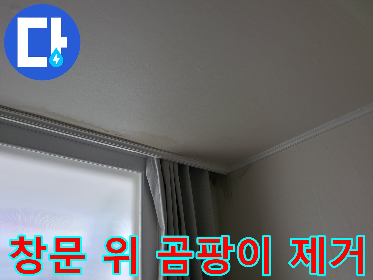 창문 위 곰팡이 - 곰팡이 제거 및 쾌적한 환경 조성