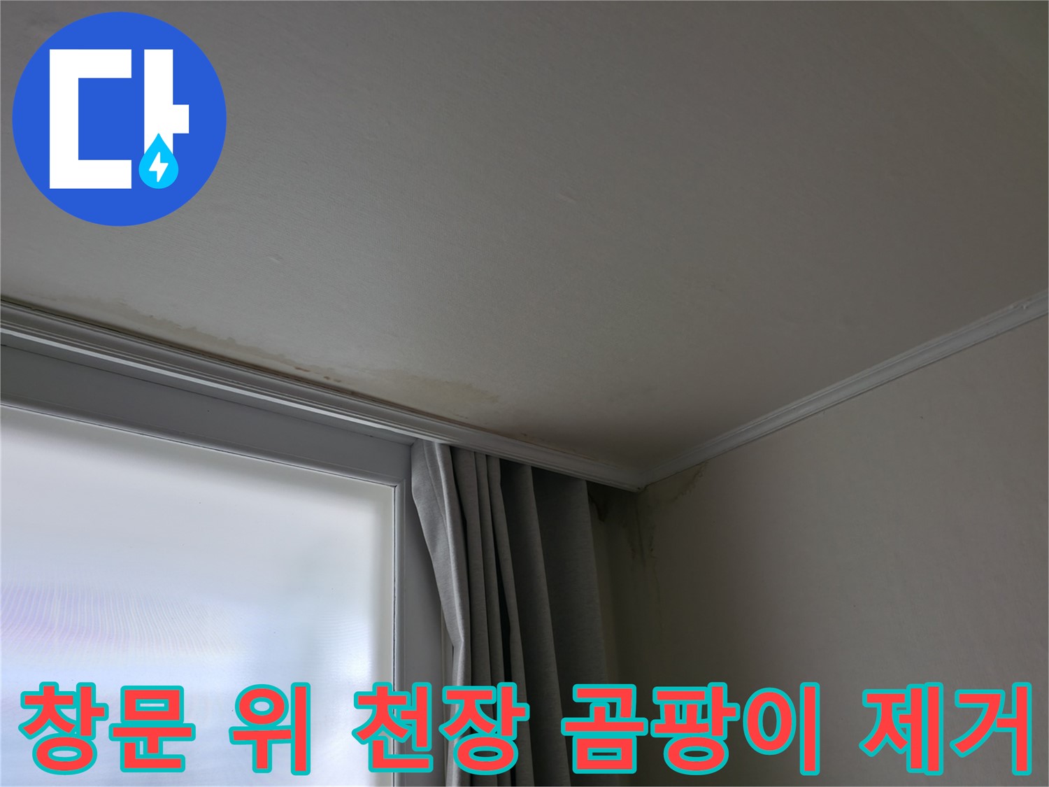 창문 위 천장 곰팡이 - 곰팡이 제거 및 재발 방지 시공