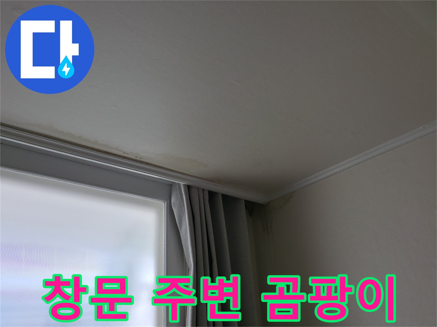창문 주변 곰팡이 - 결로와 누수 복합 문제 해결