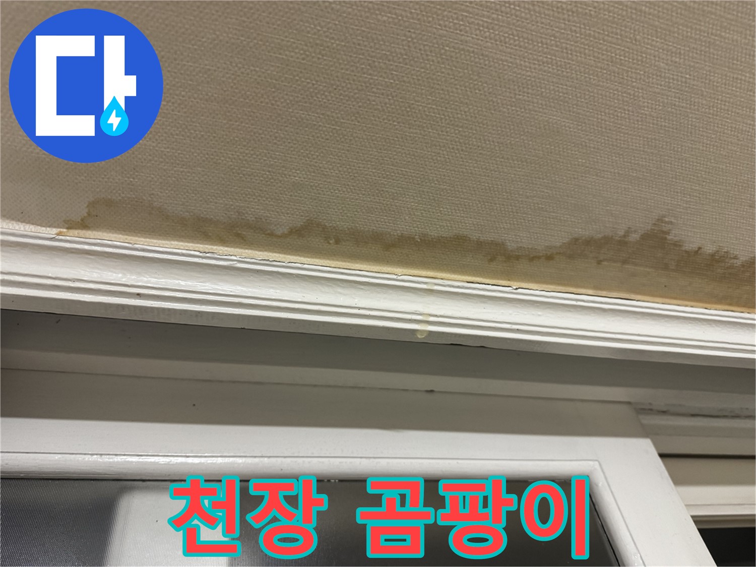 천장에 생긴 곰팡이 - 누수로 인한 곰팡이 발생을 보여주며 - 건강에 해로운 영향을 강조합니다.