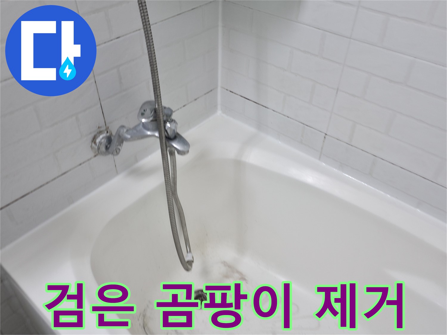 타일 사이 검은 곰팡이 - 완벽 제거 노하우 공개