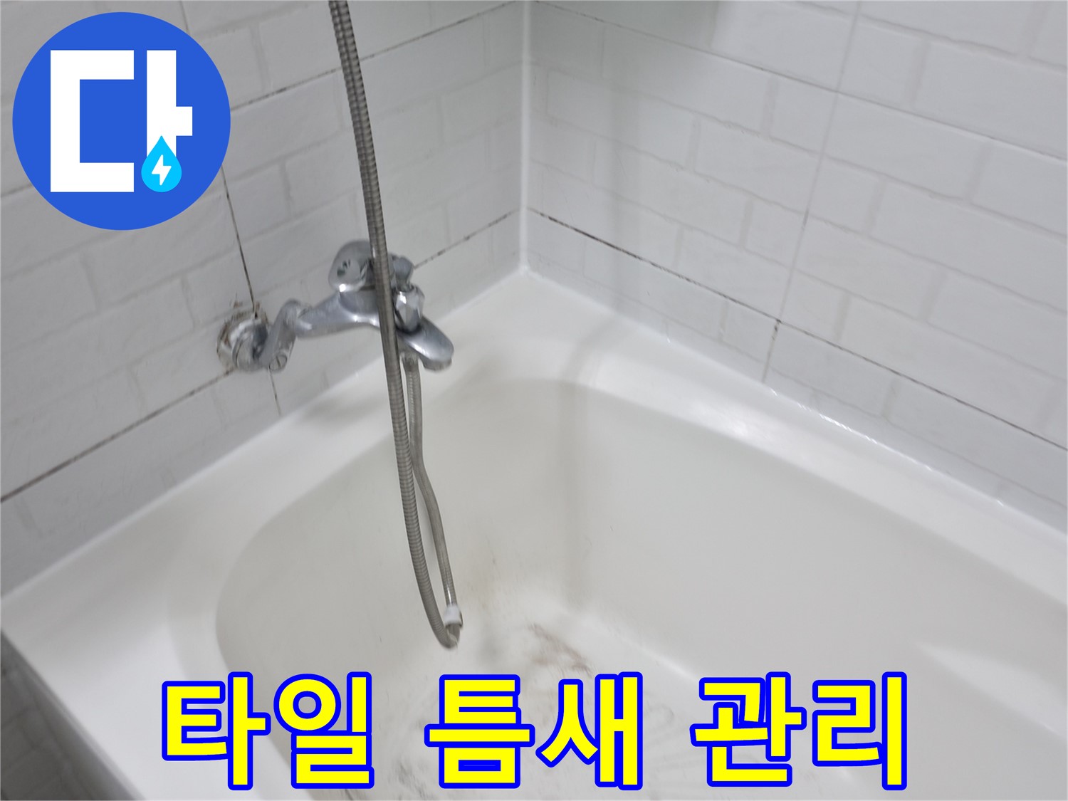 타일 틈새 관리 - 곰팡이 방지를 위한 필수