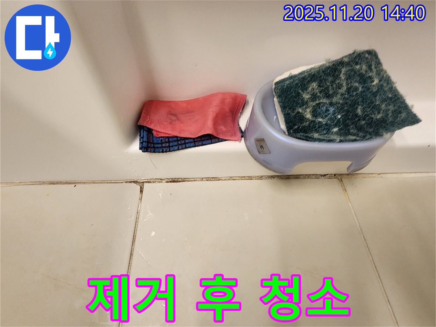 곰팡이 제거 - 곰팡이 제거 후 청소, 어떻게 해야 할까요?