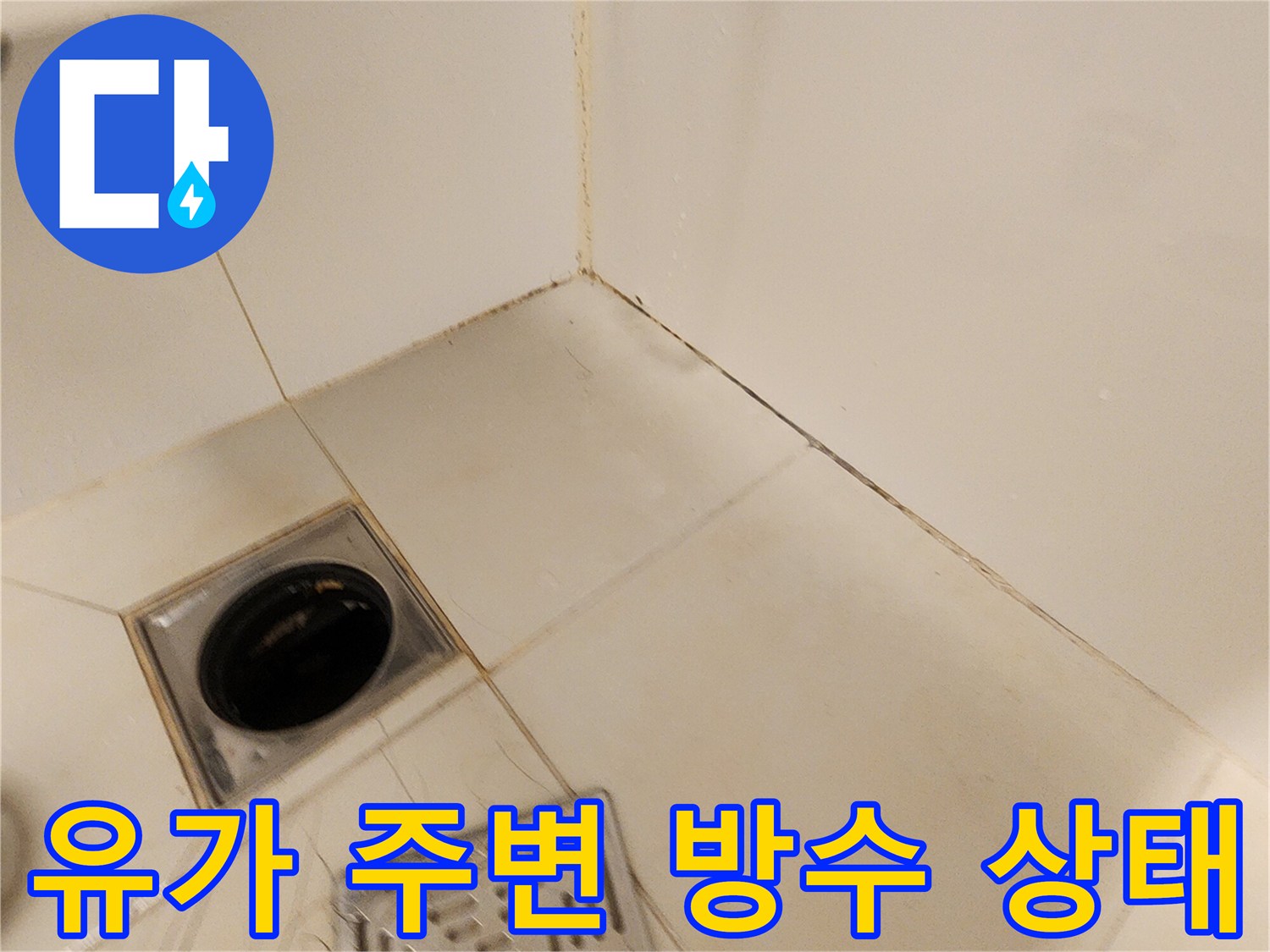 배수구-주변-타일의-습기차있는-모습을-보여주는-사진