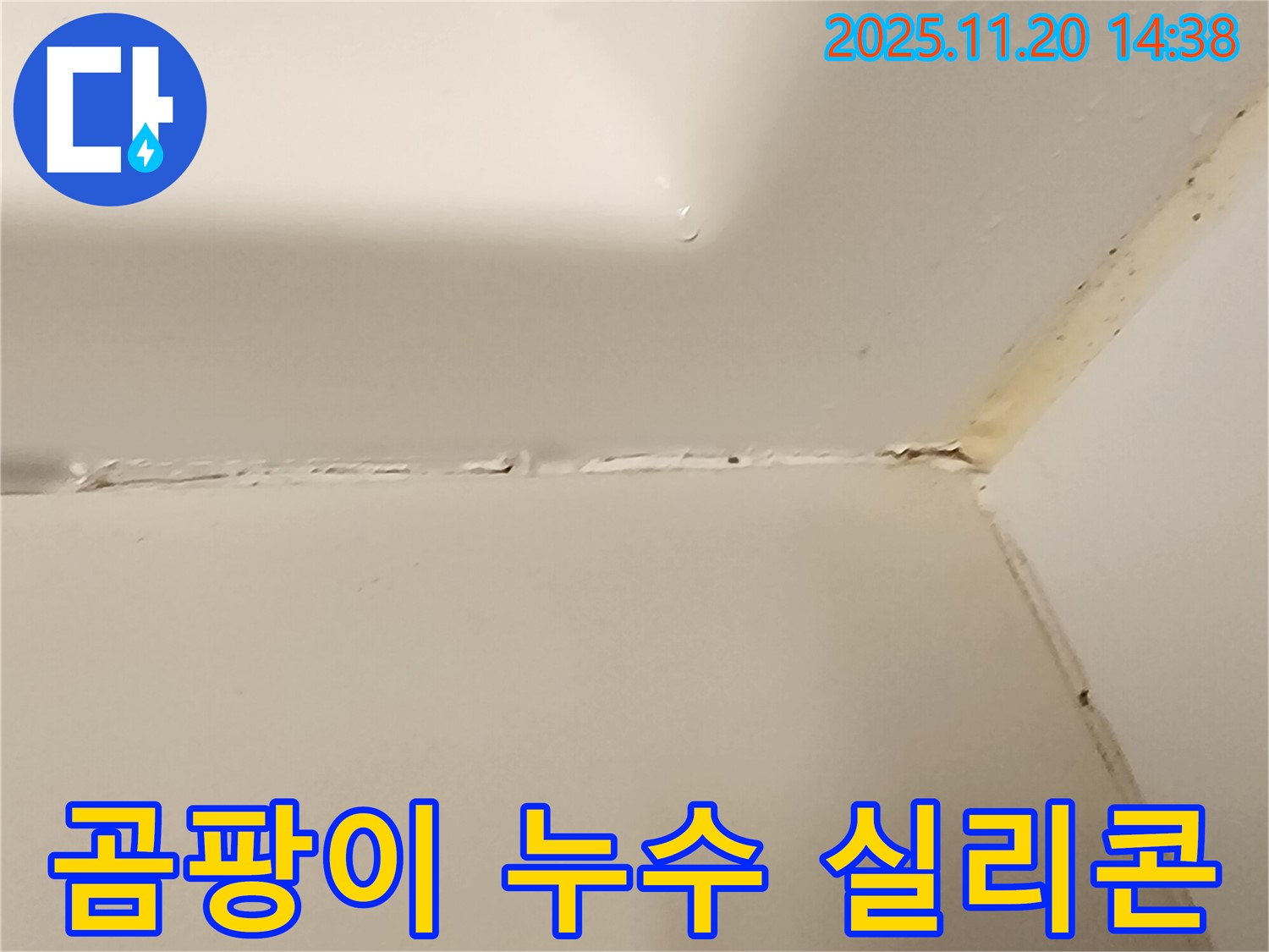 욕실 곰팡이 누수 - 실리콘 손상과 누수의 관계