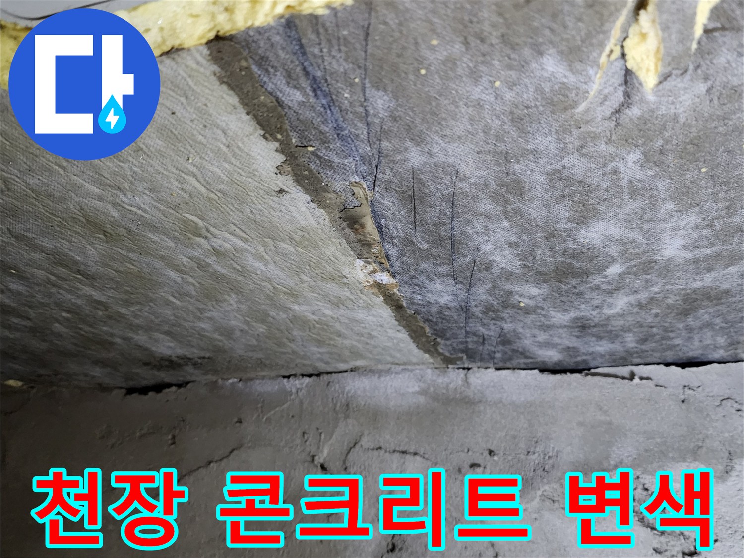 욕실 하부층-물에 젖어 어두워진 슬라브 면