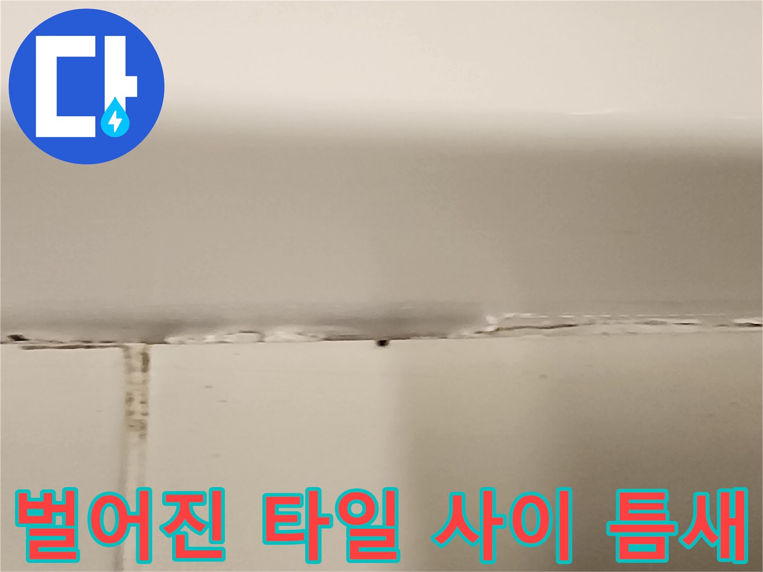 타일-사이-공극-및-줄눈-파손-부위