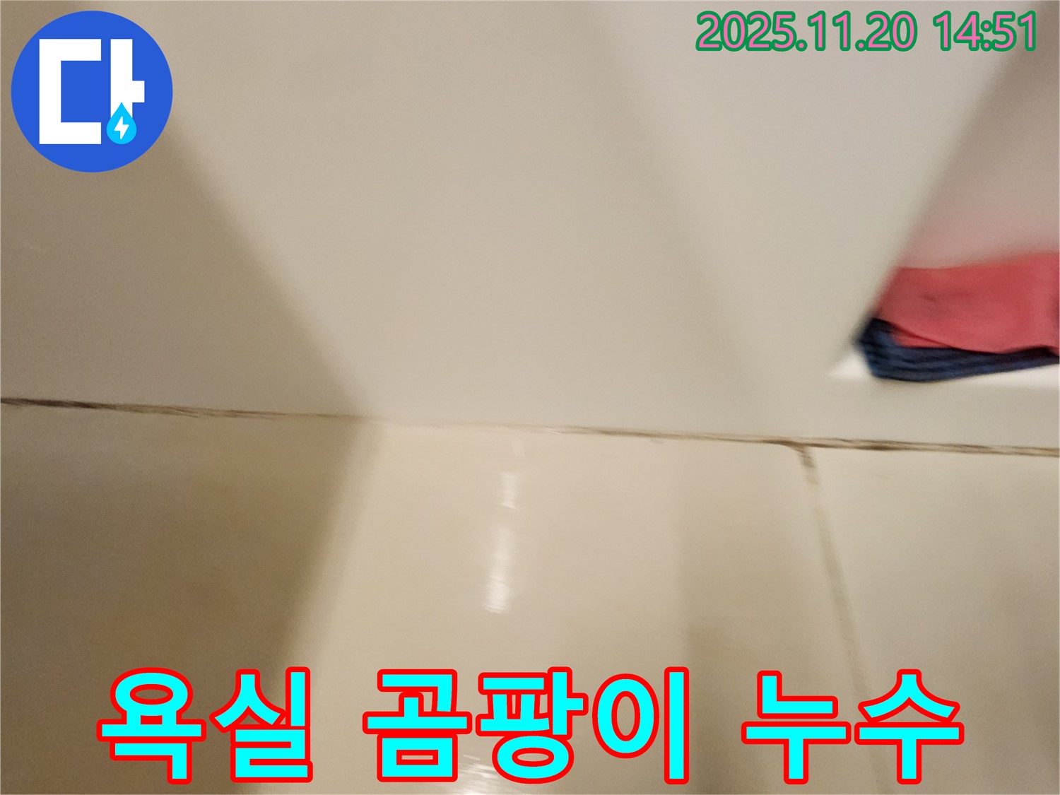 포천 가산면 욕실 타일 틈새 곰팡이 누수 - 전문적인 기술로 곰팡이 제거와 누수 해결을 동시에!