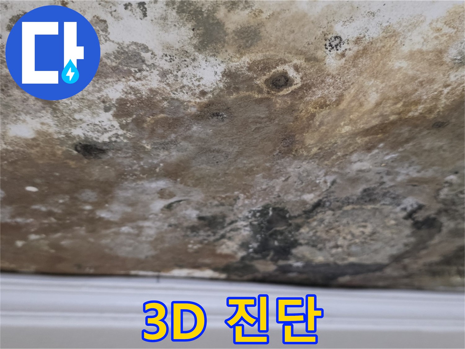 3D 정밀 누수 진단 - 3D 정밀 진단 장비를 이용하여 누수 지점을 찾는 모습입니다.