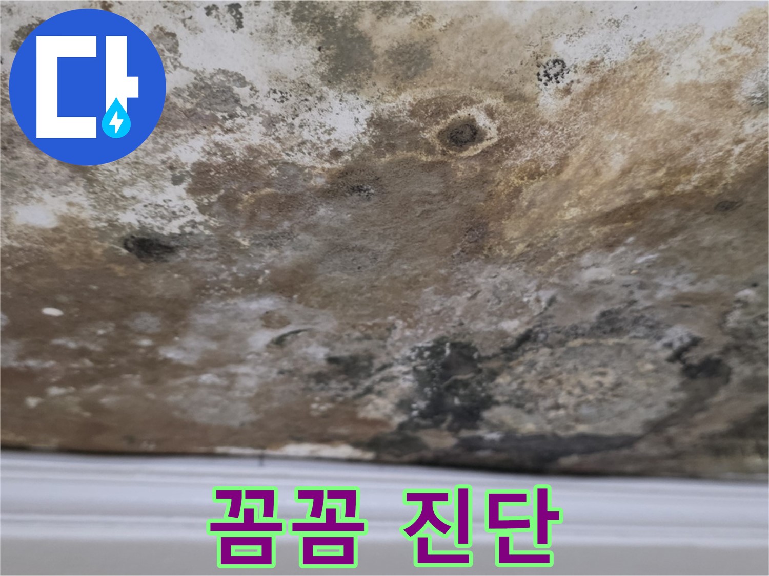 곰팡이 얼룩진 천장 - 꼼꼼하게 진단 중