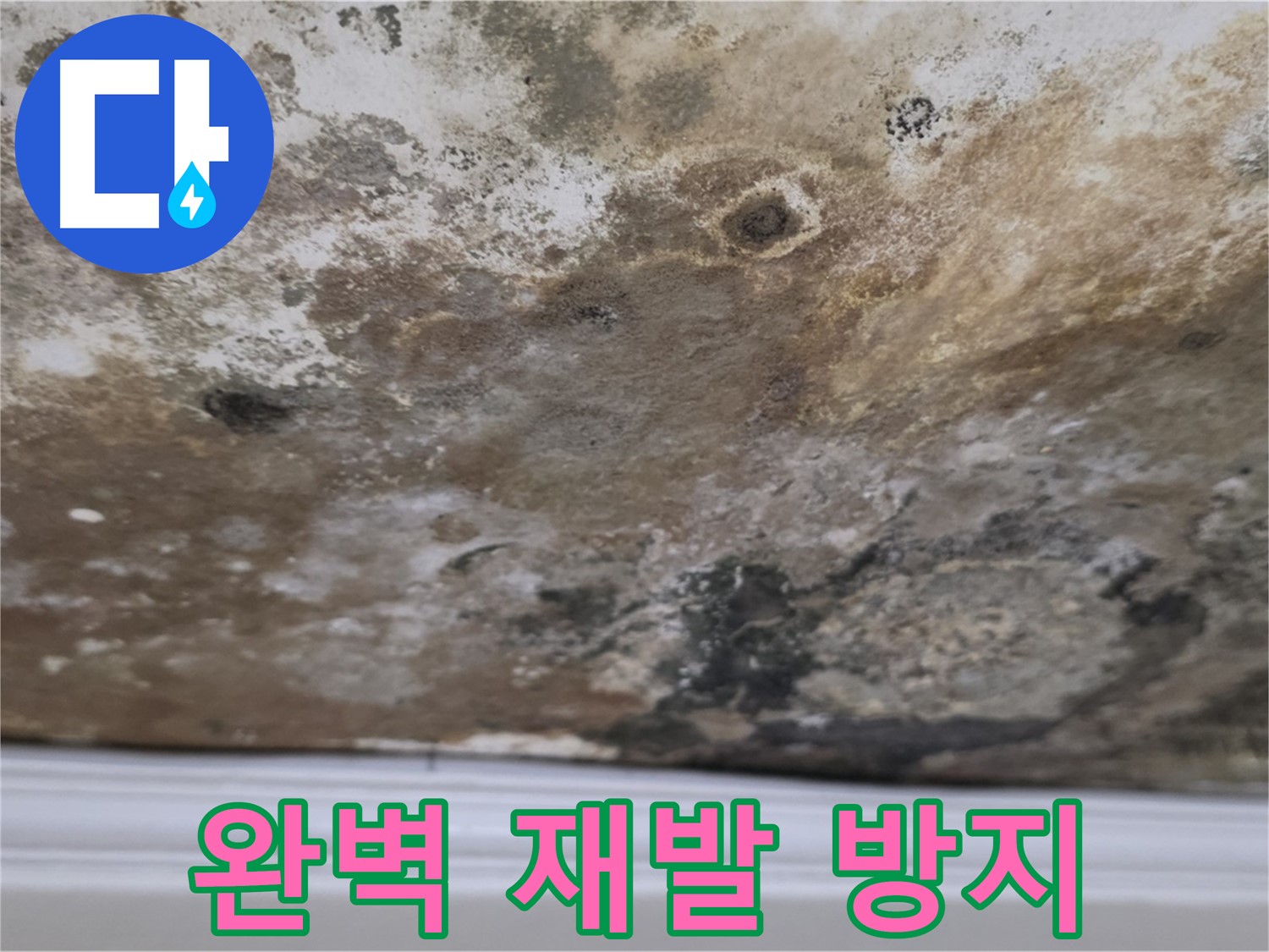 곰팡이 제거 후 - 완벽한 재발 방지 시공으로 마무리합니다