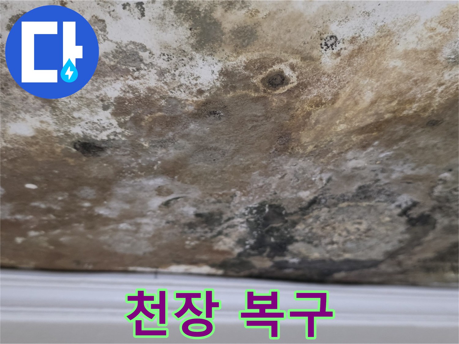 누수와 곰팡이 제거 후 복구된 천장 - 깨끗하게 복구된 천장의 모습입니다.