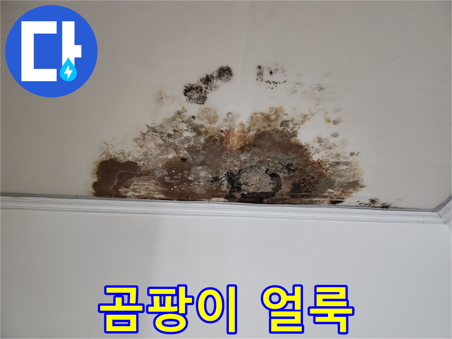마포구 누수 - 곰팡이 얼룩진 천장