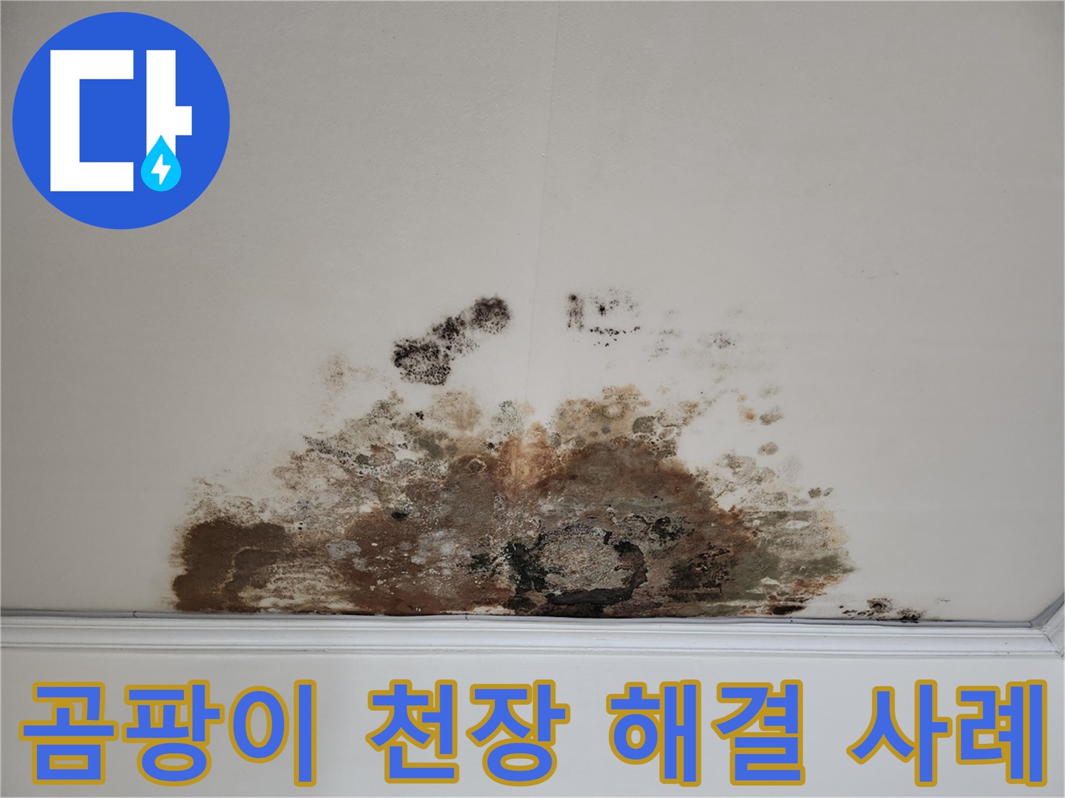 마포구 아파트 누수 - 곰팡이 핀 천장의 확실한 해결 사례 공개