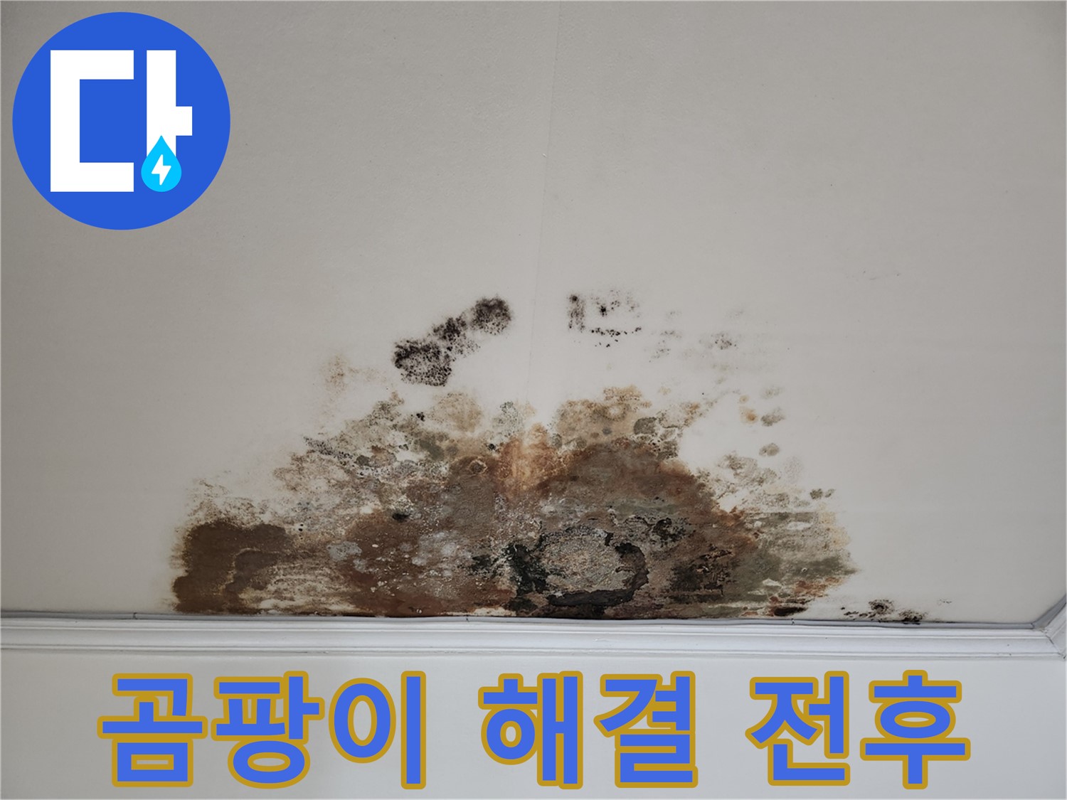 마포구 아파트 누수 해결 - 곰팡이 천장 시공 전후 사진 공개