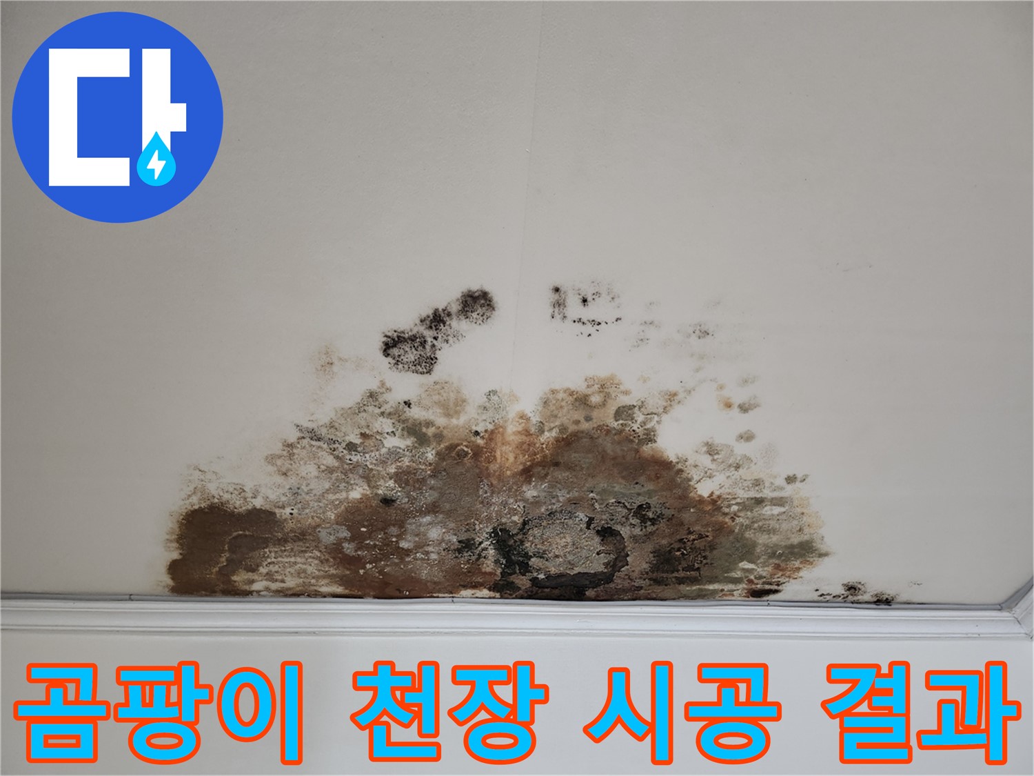 마포구 용강동 누수 곰팡이 천장 - 꼼꼼한 시공 확실한 결과 약속